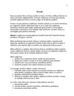 Referāts 'Finanšu analīze. Bilance', 4.