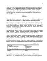 Referāts 'Finanšu analīze. Bilance', 7.