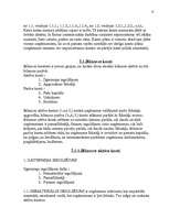 Referāts 'Finanšu analīze. Bilance', 9.