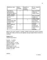 Referāts 'Finanšu analīze. Bilance', 39.