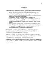 Referāts 'Finanšu analīze. Bilance', 42.