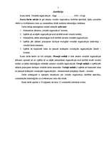 Referāts 'Virtuālās organizācijas', 3.