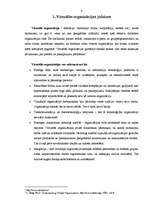 Referāts 'Virtuālās organizācijas', 6.