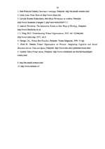 Referāts 'Virtuālās organizācijas', 26.