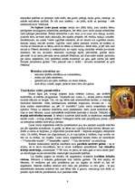 Referāts 'Tautskolas Latvijā un Tautas augstskolas Dānijā', 9.