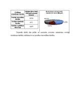 Diplomdarbs 'Sevišķās tiesāšanas kārtība', 11.