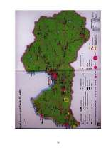 Referāts 'PSRS karabāzes Latvijā', 11.