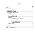 Referāts 'Vispārēja informācija par kvalitatīvām pētniecības metodēm', 2.