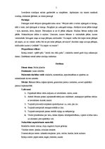 Prakses atskaite 'Vecīša cimdiņš', 5.