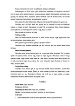 Prakses atskaite 'Vecīša cimdiņš', 7.