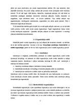 Referāts 'Organizācijas', 4.