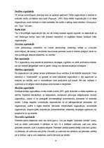 Referāts 'Organizācijas', 6.