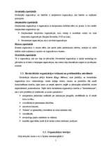 Referāts 'Organizācijas', 7.