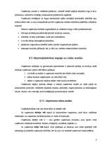 Konspekts 'Uzņēmuma stratēģija', 4.