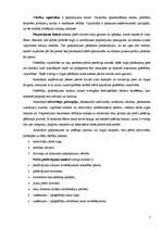 Konspekts 'Uzņēmuma stratēģija', 7.