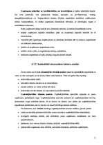 Konspekts 'Uzņēmuma stratēģija', 11.