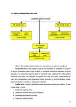 Konspekts 'Uzņēmuma stratēģija', 13.