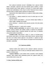 Konspekts 'Uzņēmuma stratēģija', 16.