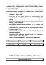 Konspekts 'Uzņēmuma stratēģija', 21.