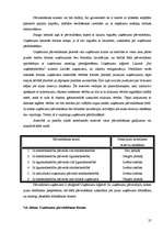 Konspekts 'Uzņēmuma stratēģija', 25.