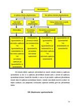 Konspekts 'Uzņēmuma stratēģija', 26.