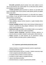 Konspekts 'Uzņēmuma stratēģija', 28.