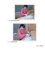 Referāts 'C vitamīna koncentrācija "Sīpoliņa" un "Antonovkas" šķirnes ābolos atkarībā no u', 23.