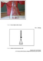 Referāts 'C vitamīna koncentrācija "Sīpoliņa" un "Antonovkas" šķirnes ābolos atkarībā no u', 25.