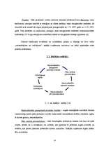 Diplomdarbs 'Pārtikas produktu iepakojuma ekodizaina analīze', 14.