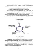 Diplomdarbs 'Pārtikas produktu iepakojuma ekodizaina analīze', 15.