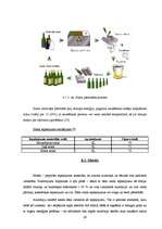 Diplomdarbs 'Pārtikas produktu iepakojuma ekodizaina analīze', 29.