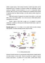 Diplomdarbs 'Pārtikas produktu iepakojuma ekodizaina analīze', 30.