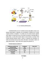 Diplomdarbs 'Pārtikas produktu iepakojuma ekodizaina analīze', 32.