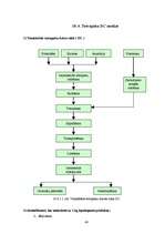Diplomdarbs 'Pārtikas produktu iepakojuma ekodizaina analīze', 48.
