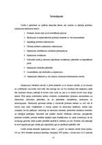 Diplomdarbs 'Pārtikas produktu iepakojuma ekodizaina analīze', 61.