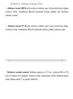 Referāts 'Smiltenes, Alūksnes tautas tērpi', 3.