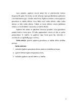 Referāts 'Popkorna gatavošanas un sadales iekārtas', 3.