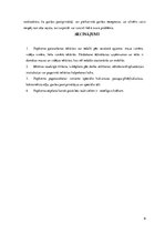 Referāts 'Popkorna gatavošanas un sadales iekārtas', 9.