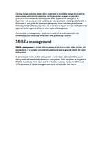 Konspekts 'Management', 4.