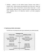 Prakses atskaite 'Prakse AS DNB bankā', 7.