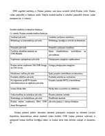 Prakses atskaite 'Prakse AS DNB bankā', 19.