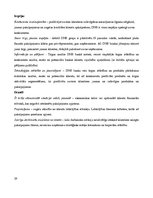 Prakses atskaite 'Prakse AS DNB bankā', 29.