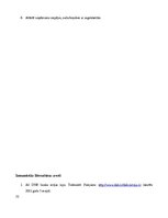 Prakses atskaite 'Prakse AS DNB bankā', 32.