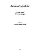 Referāts 'Sociālo grupu veidi', 1.