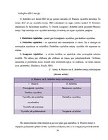 Diplomdarbs 'Personāla motivēšanas pilnveidošanas iespējas SIA "Credit.lv"', 24.