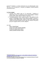 Referāts 'Galvojums kā akcesoriska jeb papildus (blakus) saistība parādnieka fiziskās pers', 7.