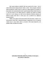 Referāts 'Pašnāvības princips', 5.