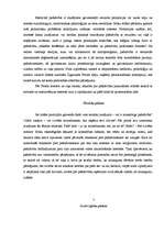 Referāts 'Pašnāvības princips', 7.