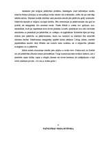 Referāts 'Pašnāvības princips', 9.