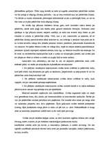 Referāts 'Pašnāvības princips', 11.